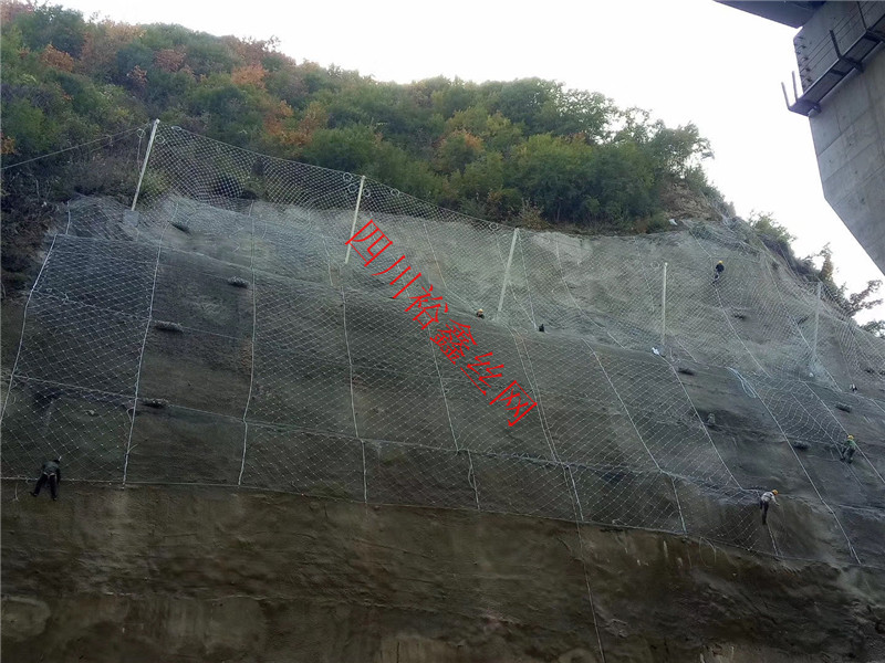 邊坡防護(hù)網(wǎng)